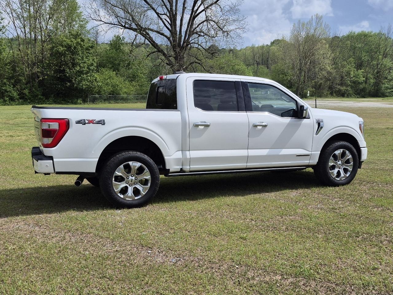 Ford F-150 Platinum SuperCrew 5.5-ft. Bed 4WD 2022