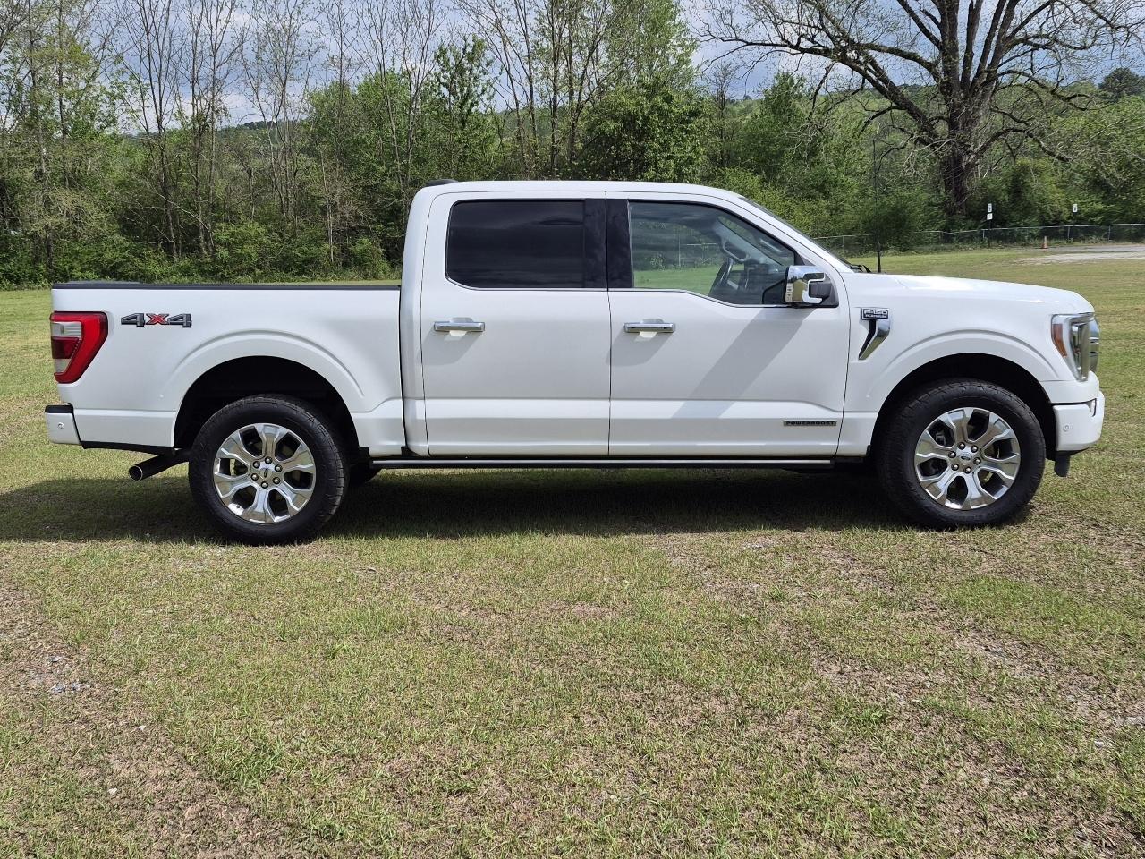 Ford F-150 Platinum SuperCrew 5.5-ft. Bed 4WD 2022