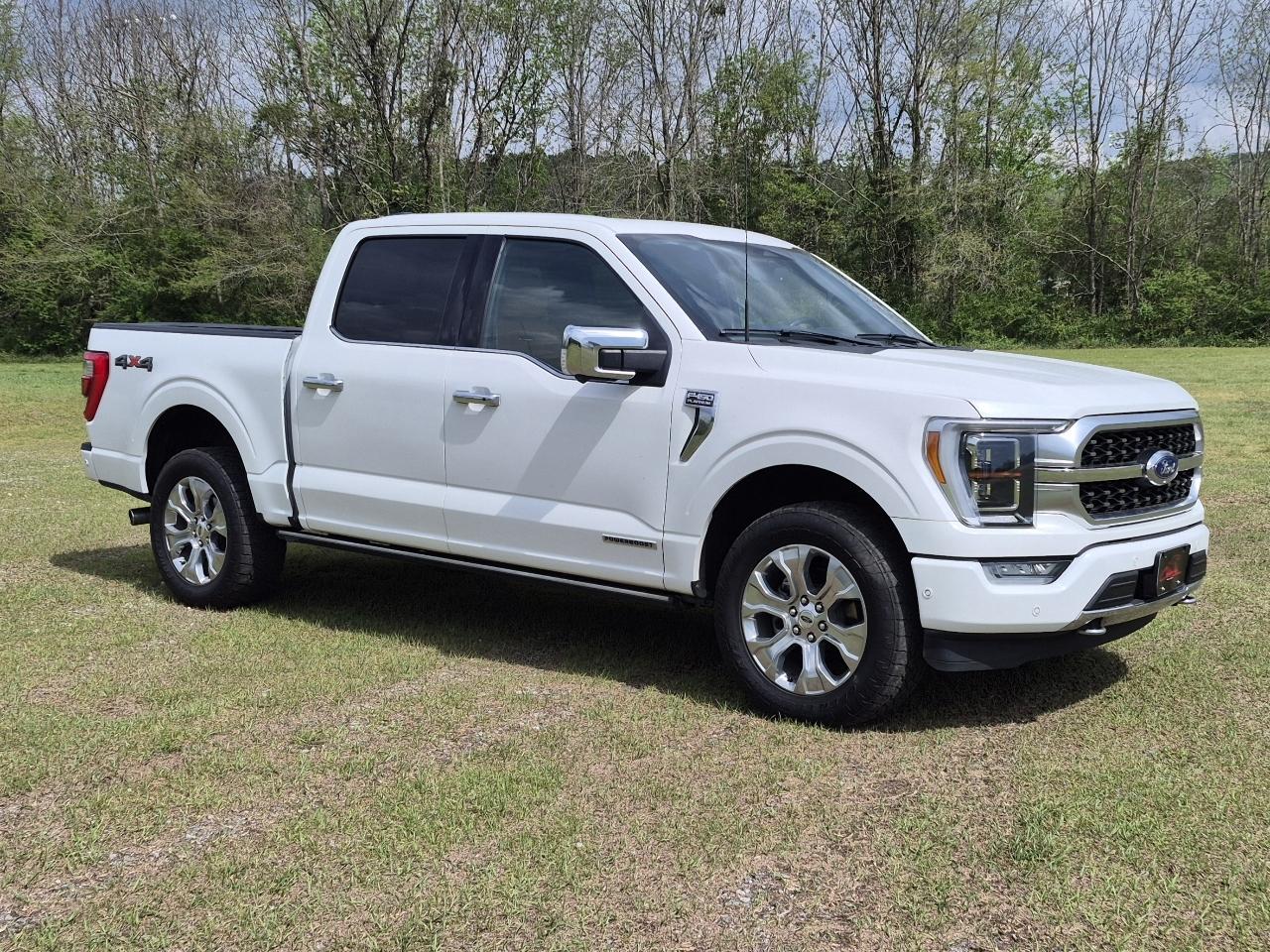 Ford F-150 Platinum SuperCrew 5.5-ft. Bed 4WD 2022