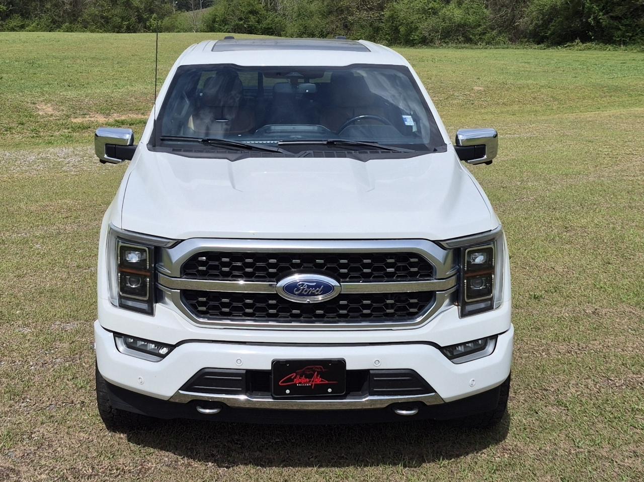 Ford F-150 Platinum SuperCrew 5.5-ft. Bed 4WD 2022