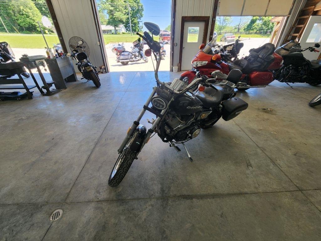Harley-Davidson XL 883C  2001