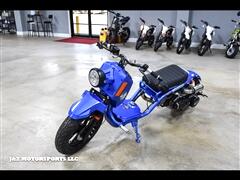 2024 Ice Bear Scooter 