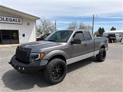 2010 Ford F-150 