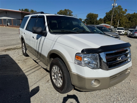 2010 Ford Expedition Eddie Bauer 2WD