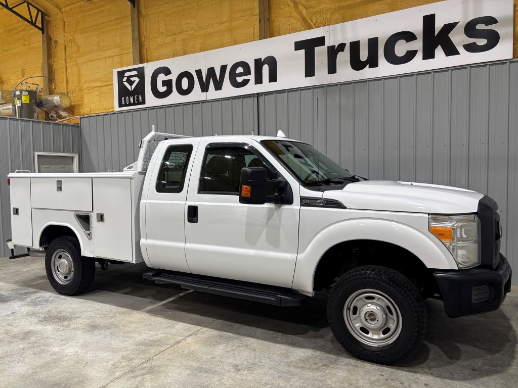 2016 Ford F-250 photo 3