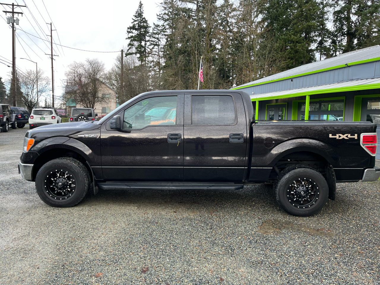 Ford F-150 XLT 4WD SuperCrew 5.5' Box 2013