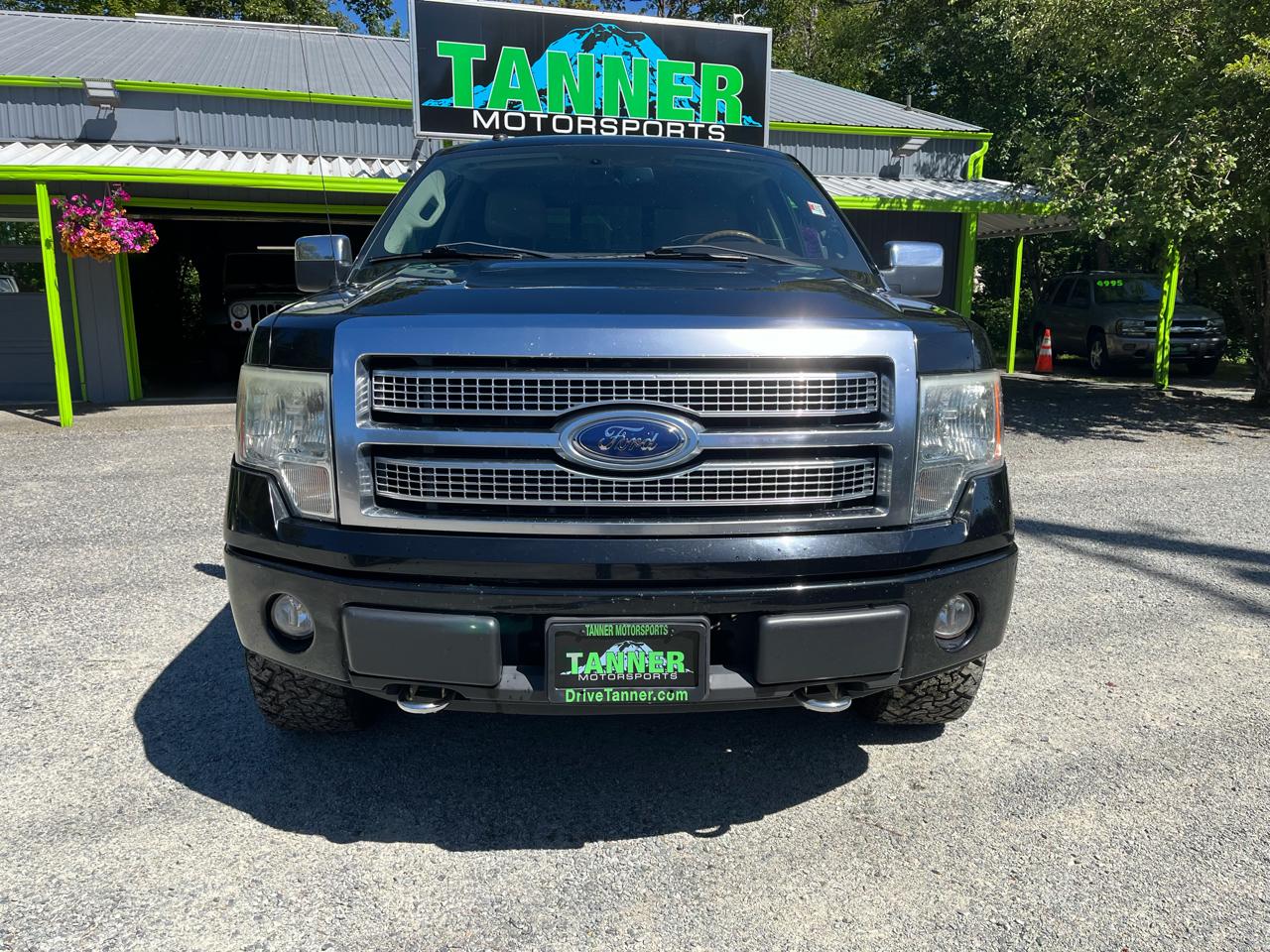 Ford F-150 4WD SuperCrew 145" Platinum 2009