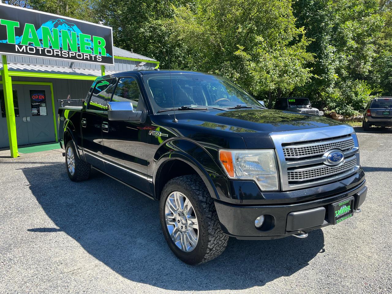 Ford F-150 4WD SuperCrew 145" Platinum 2009