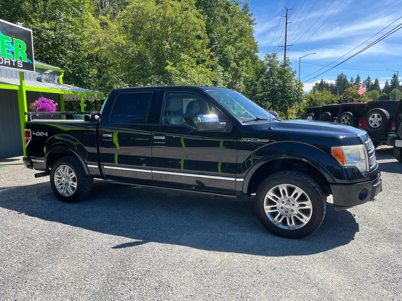 Ford F-150 4WD SuperCrew 145" Platinum 2009