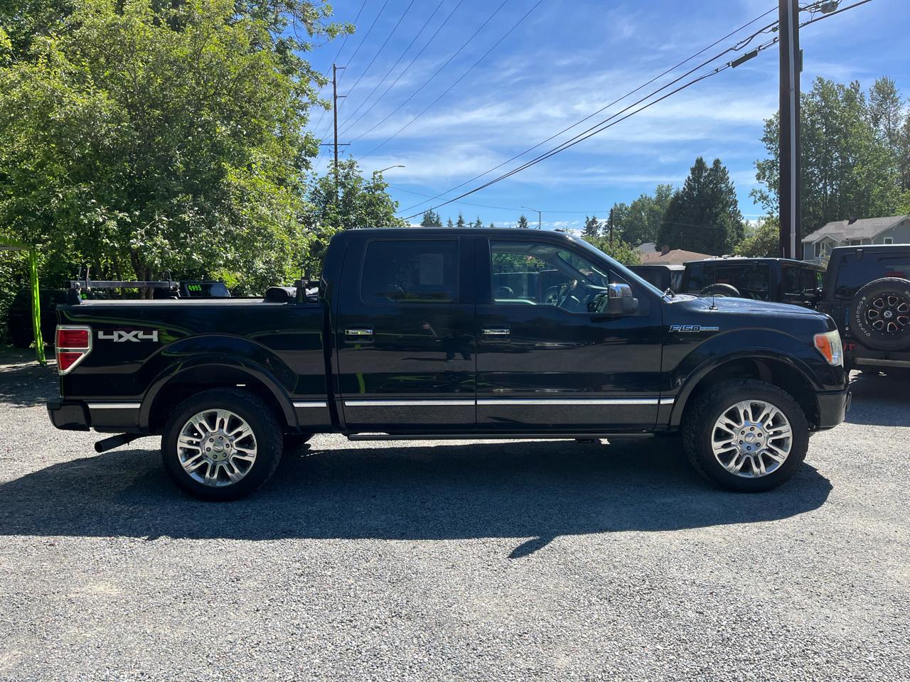 Ford F-150 4WD SuperCrew 145" Platinum 2009