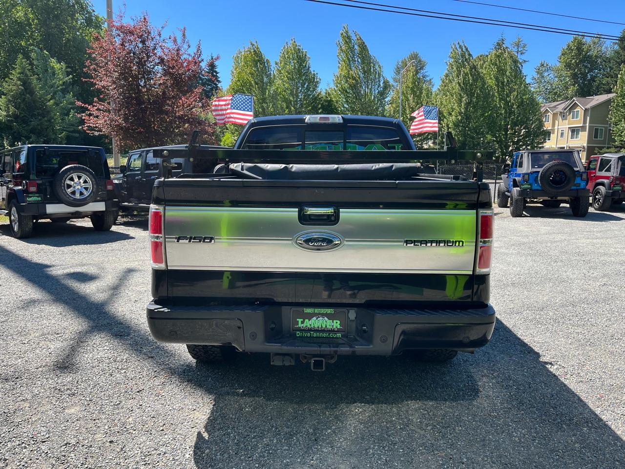 Ford F-150 4WD SuperCrew 145" Platinum 2009