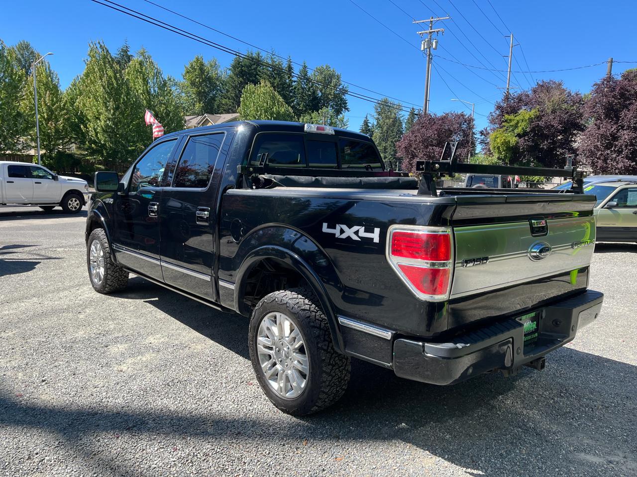 Ford F-150 4WD SuperCrew 145" Platinum 2009