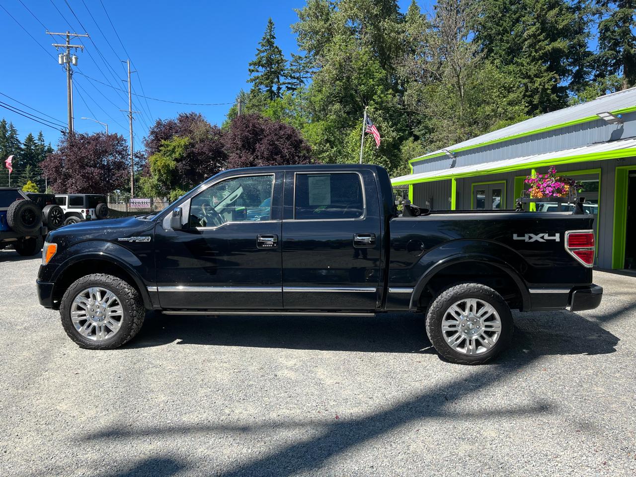 Ford F-150 4WD SuperCrew 145" Platinum 2009