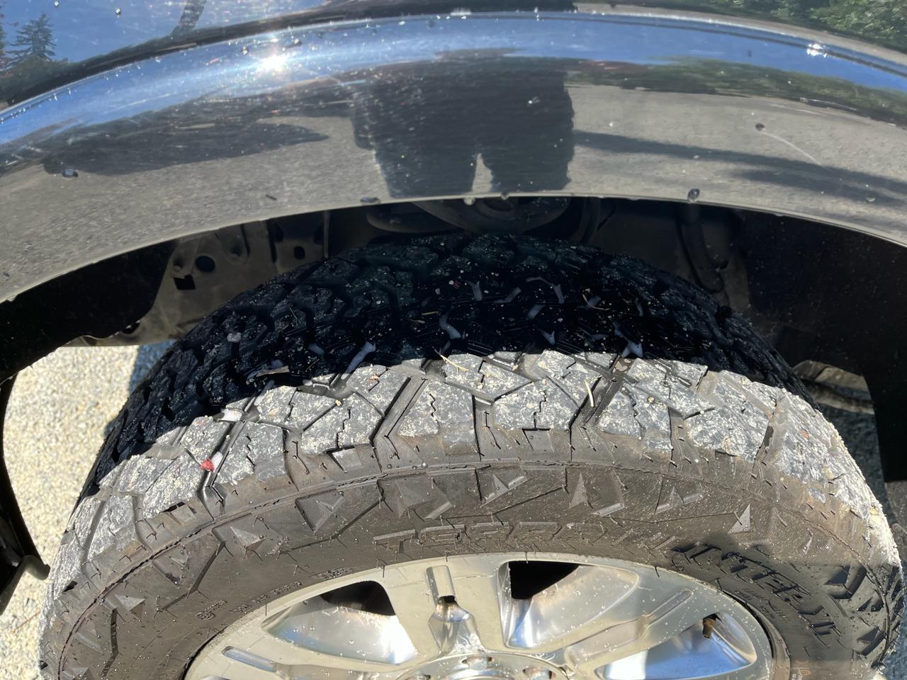 Ford F-150 4WD SuperCrew 145" Platinum 2009