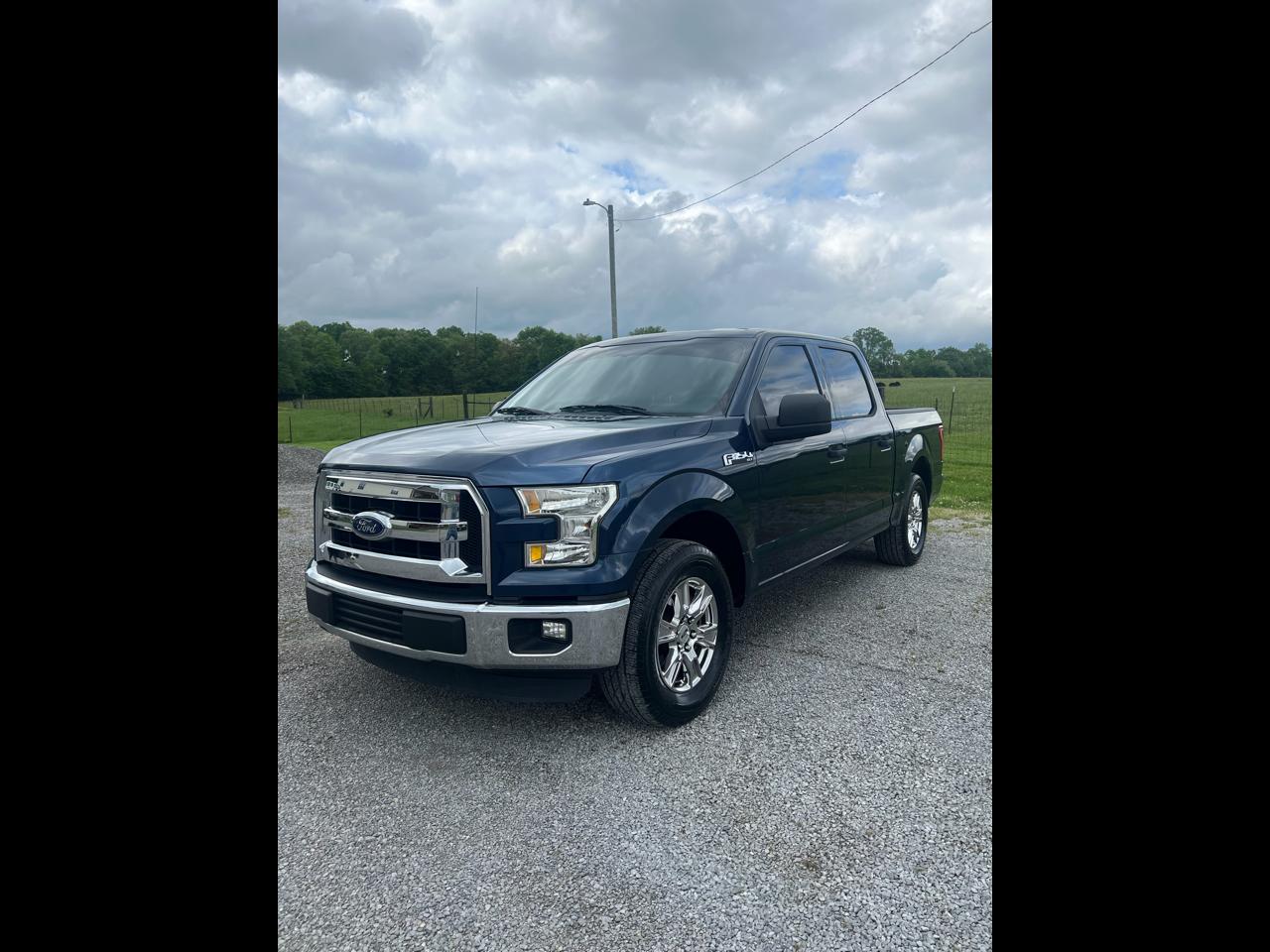 Ford F-150 2WD SuperCrew 145" XLT 2015