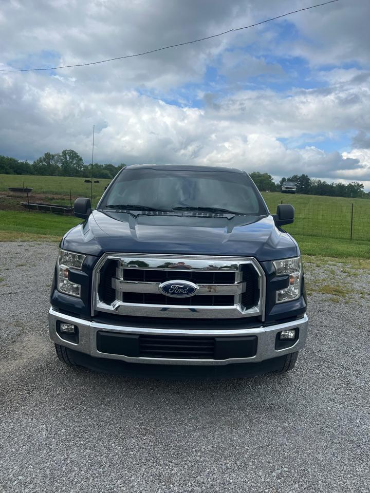 Ford F-150 2WD SuperCrew 145" XLT 2015