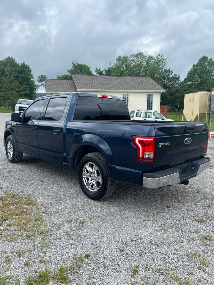 Ford F-150 2WD SuperCrew 145" XLT 2015