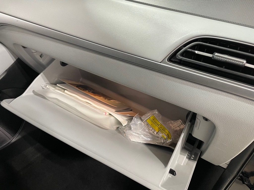 Hyundai Palisade  2020