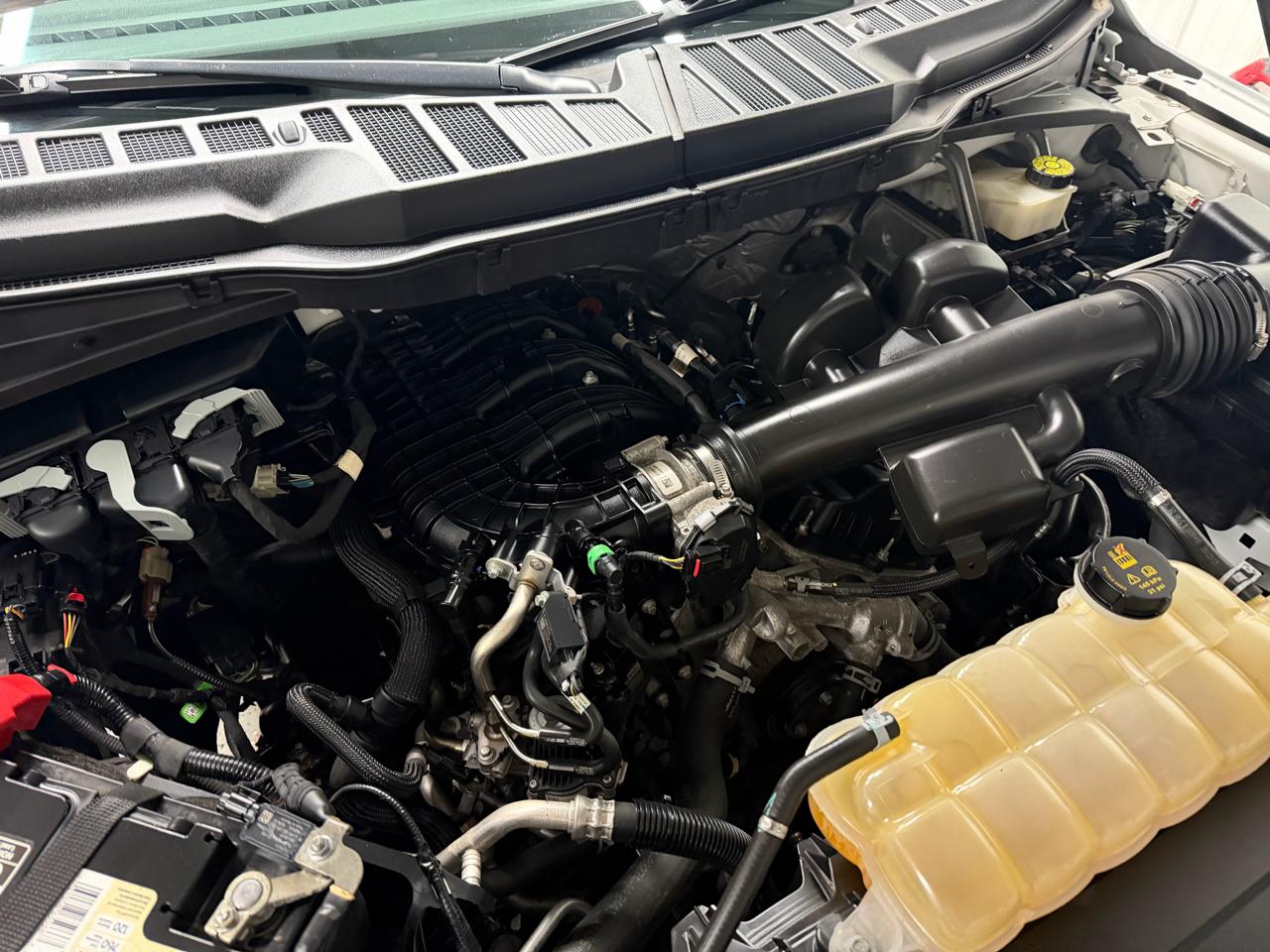 Ford F-150 4WD Reg Cab 141" XL 2021