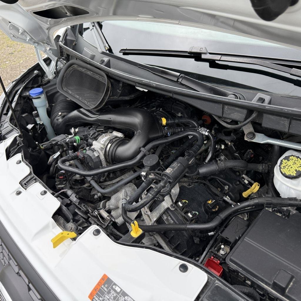 Ford Transit 250 Van 2025