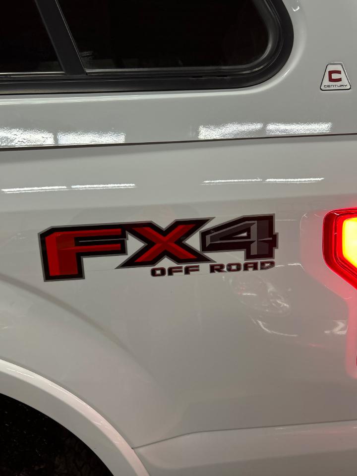 Ford F-150 XLT 4WD SuperCrew 5.5' Box 2019
