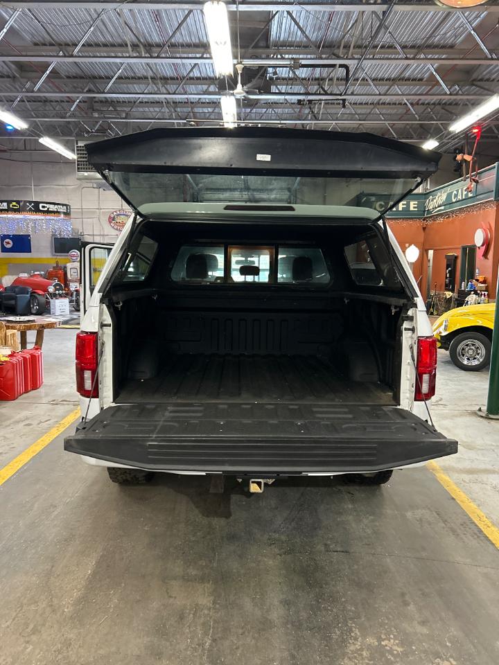 Ford F-150 XLT 4WD SuperCrew 5.5' Box 2019