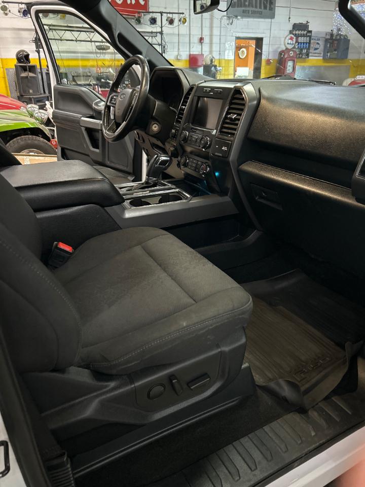 Ford F-150 XLT 4WD SuperCrew 5.5' Box 2019