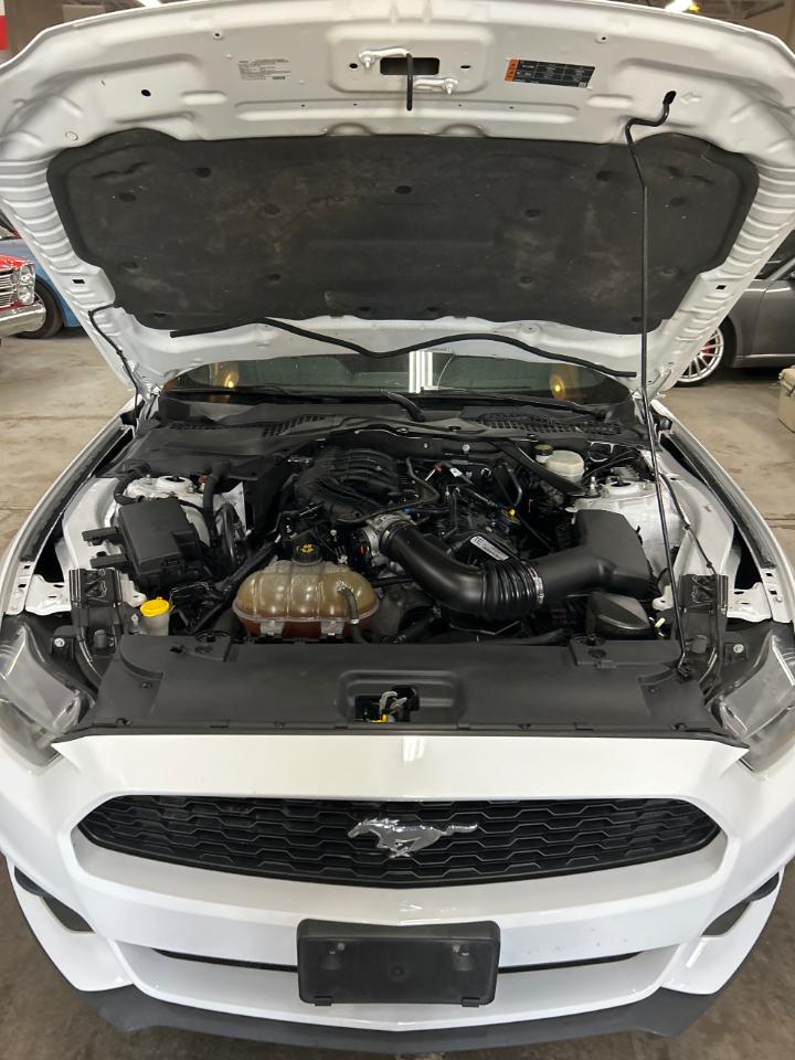 Ford Mustang V6 Convertible 2015