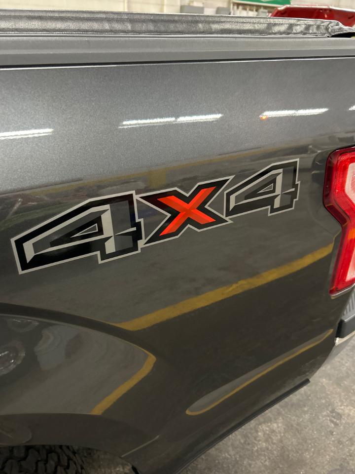 Ford F-150 4WD SuperCrew 145" XLT 2017