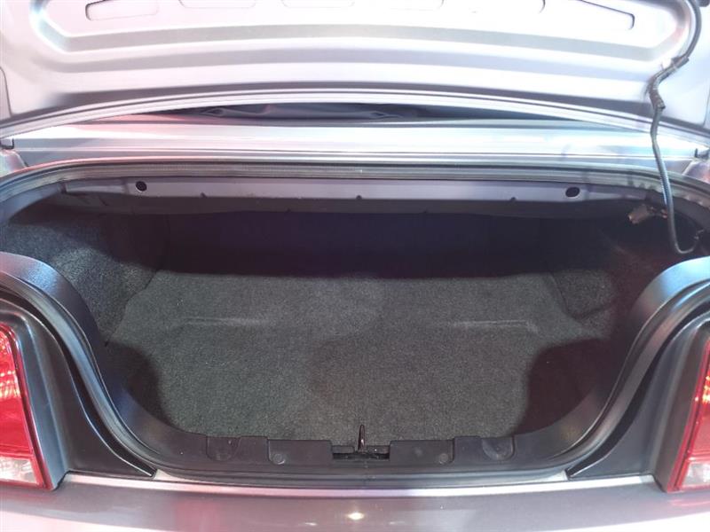 Ford Mustang GT Deluxe Convertible 2006