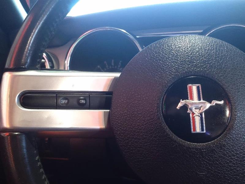 Ford Mustang GT Deluxe Convertible 2006