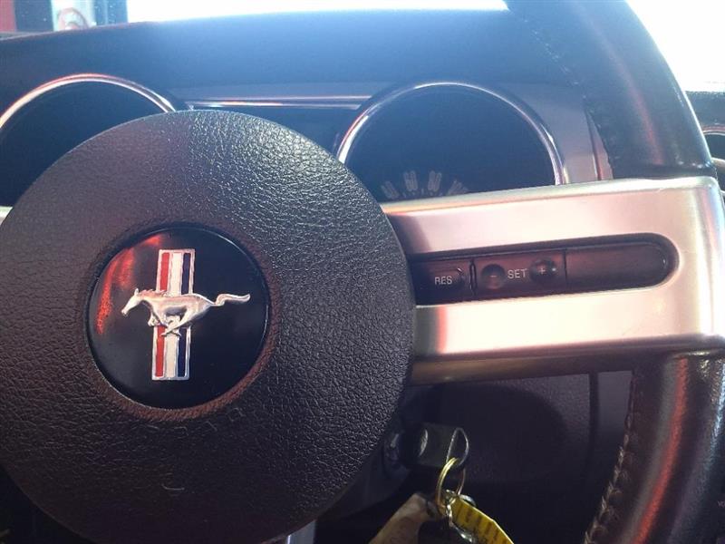 Ford Mustang GT Deluxe Convertible 2006