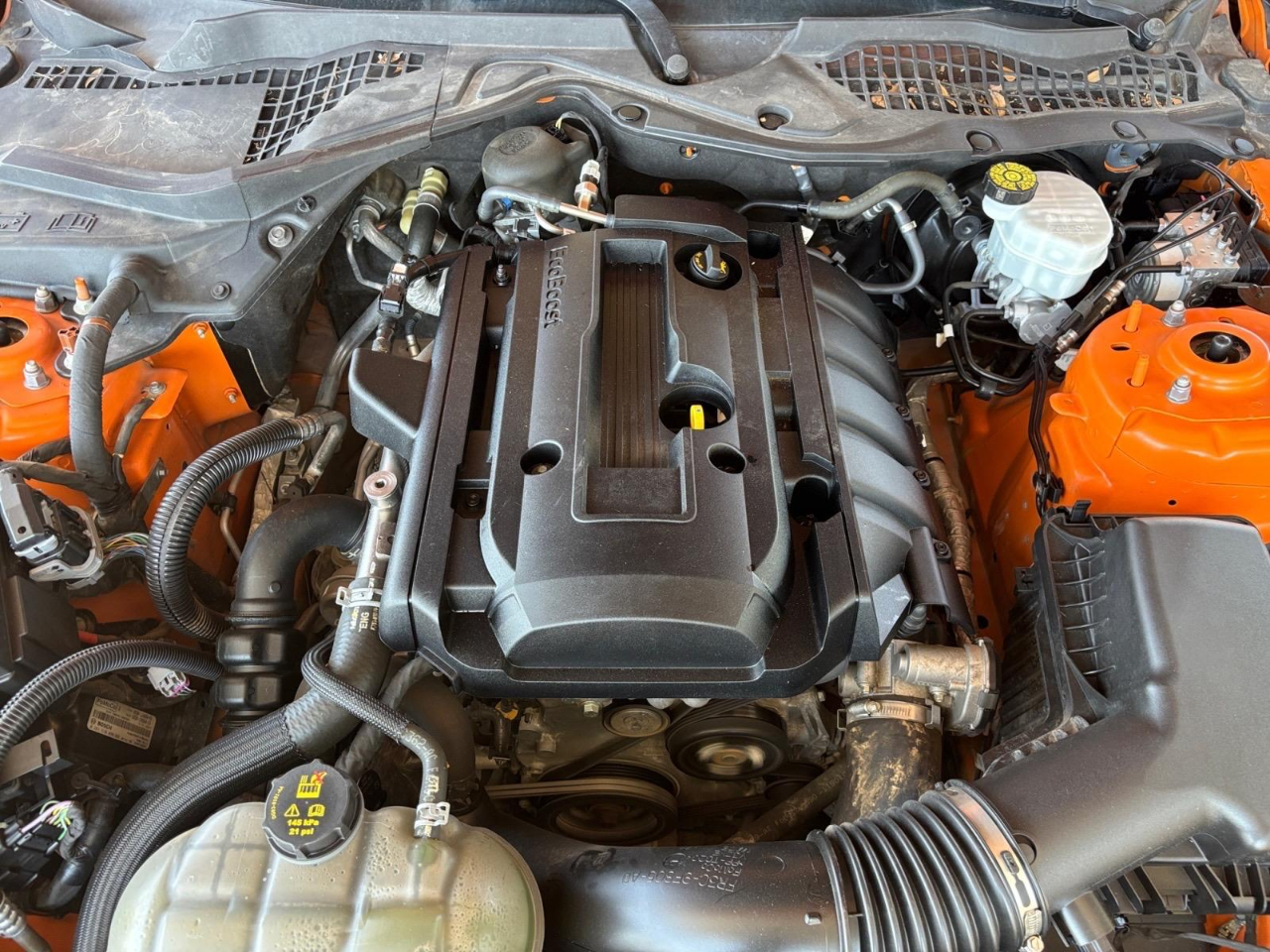 Ford Mustang EcoBoost Coupe 2020 Ford Mustang EcoBoost Coupe 2020