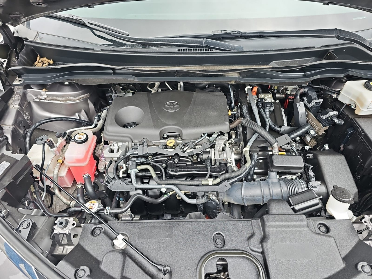 Toyota Sienna LE 8-Passenger 2021