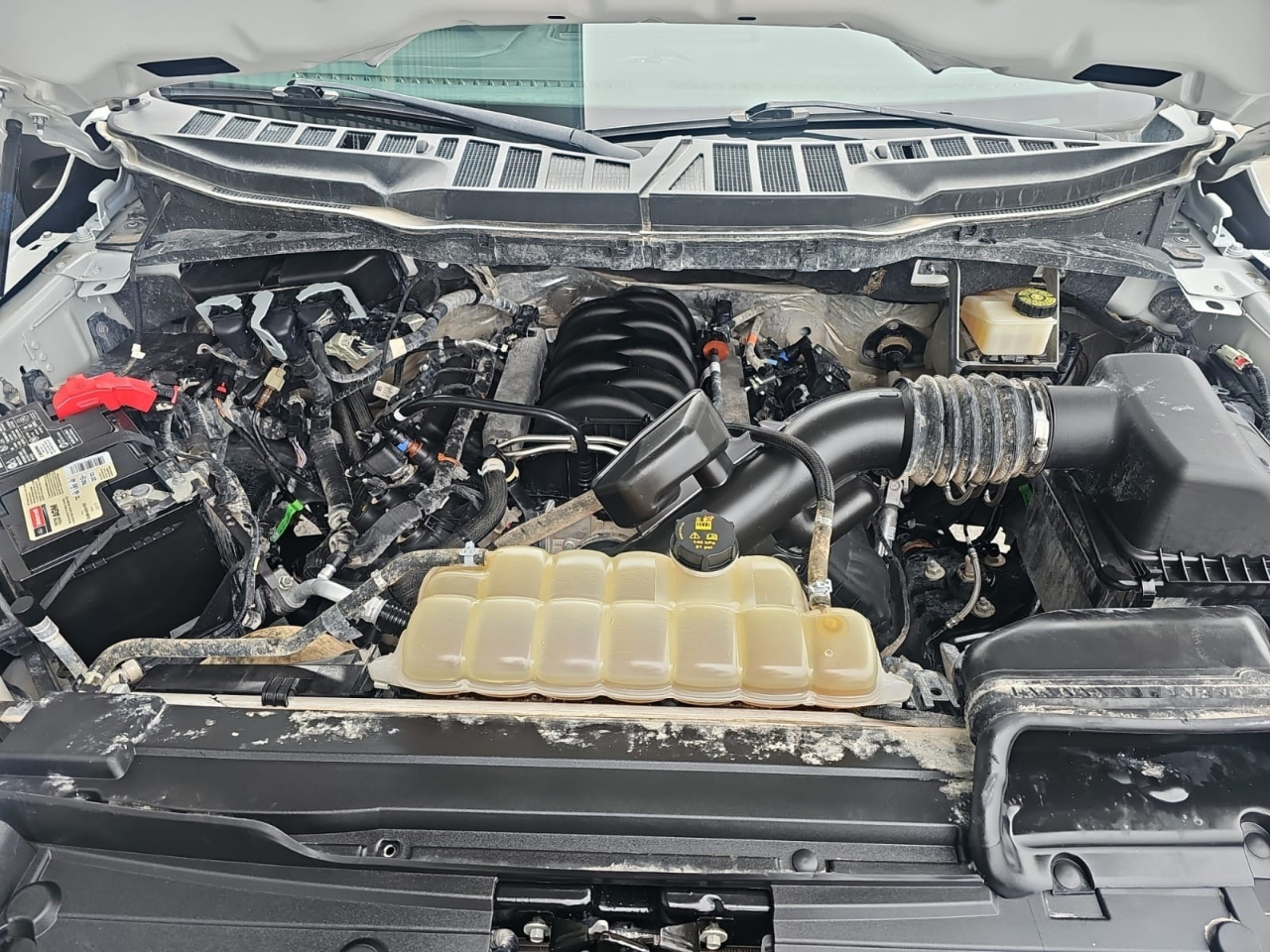 Ford F-150 XL 4WD 2022