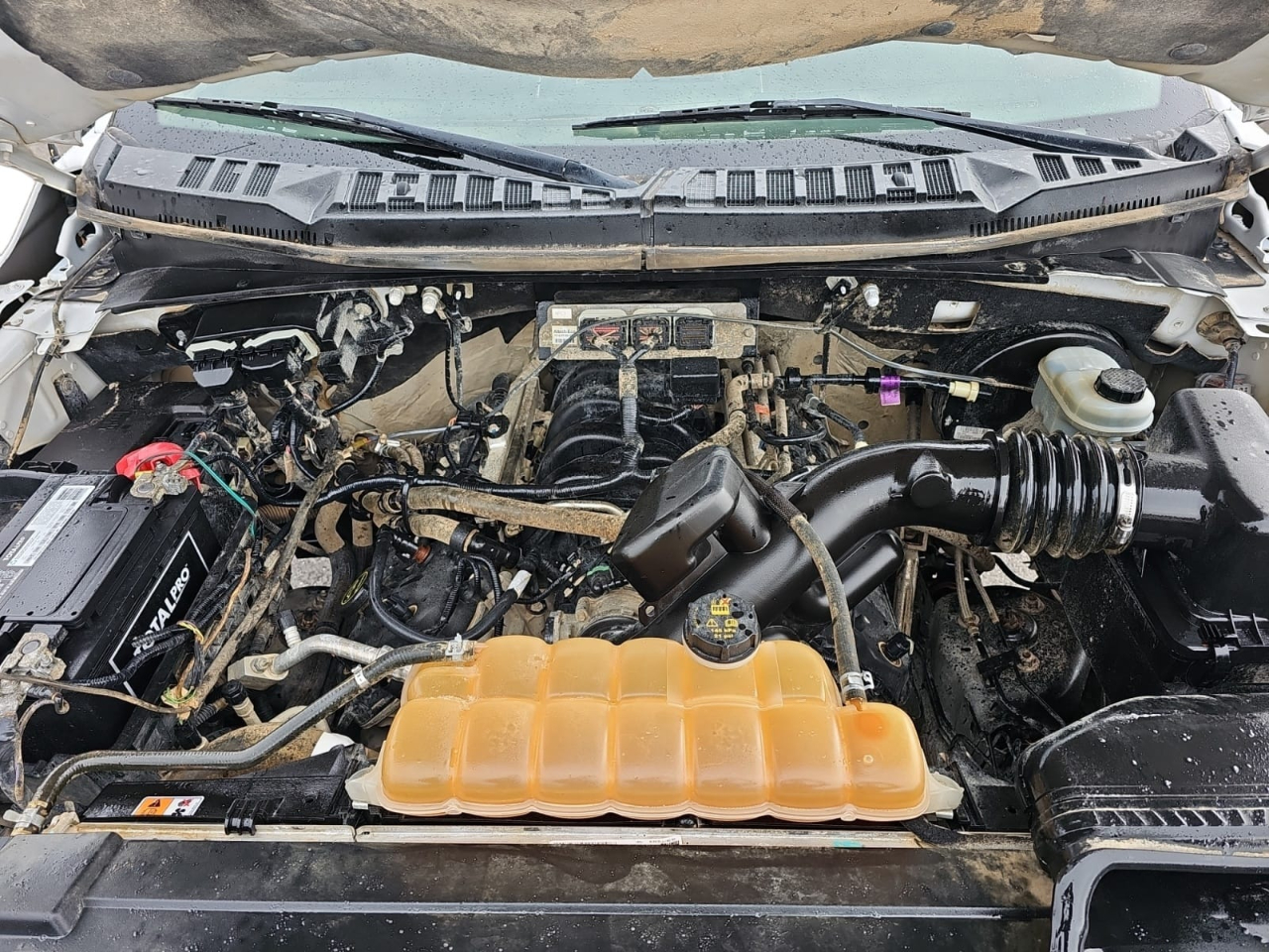 Ford F-150 XL SuperCab 6.5-ft. Bed 2WD 2017