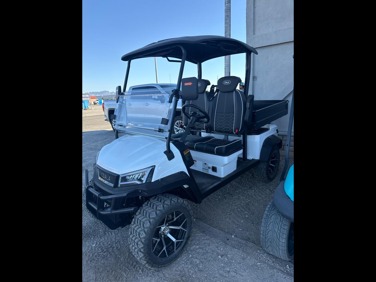 Golf Cart Custom  2026