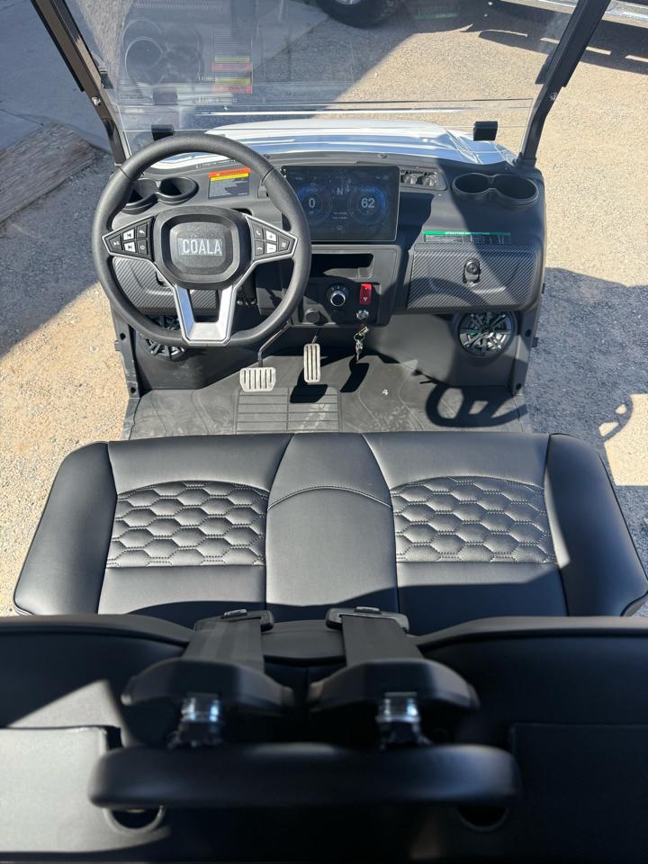 Golf Cart Custom  2026