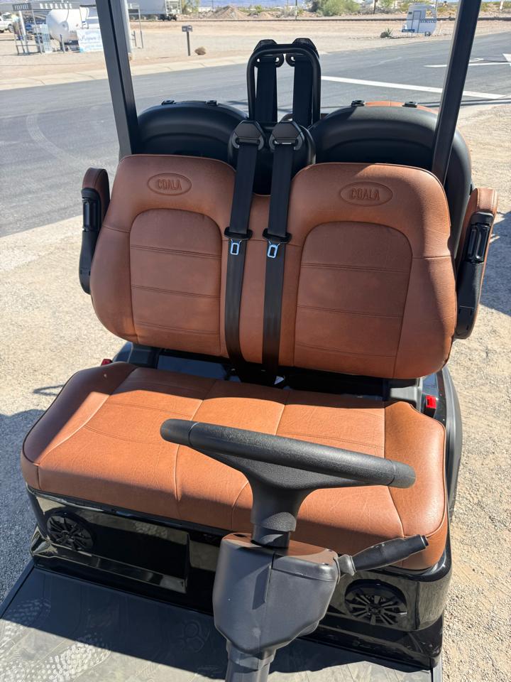 Golf Cart Custom  2026