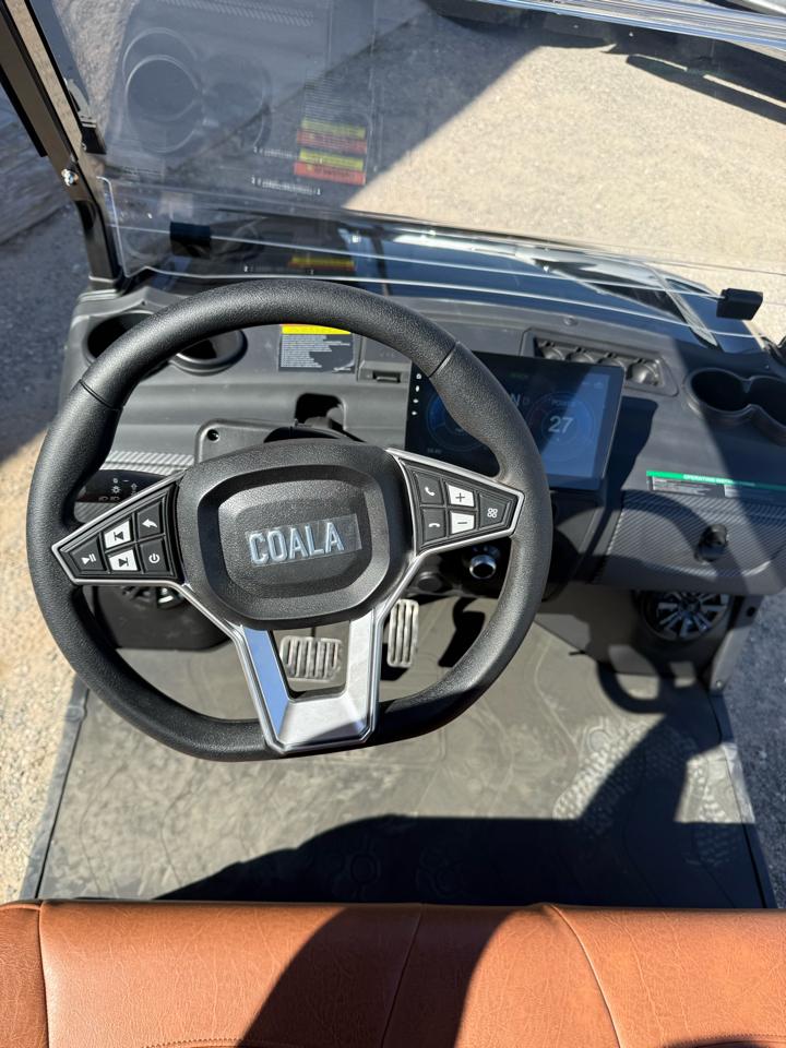Golf Cart Custom  2026