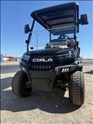 2026 Golf Cart Custom 