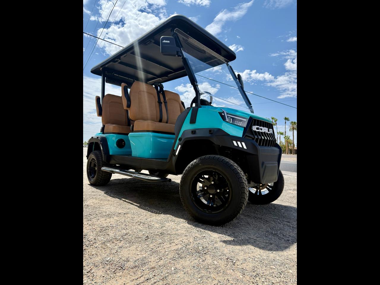 Golf Cart Custom  2026