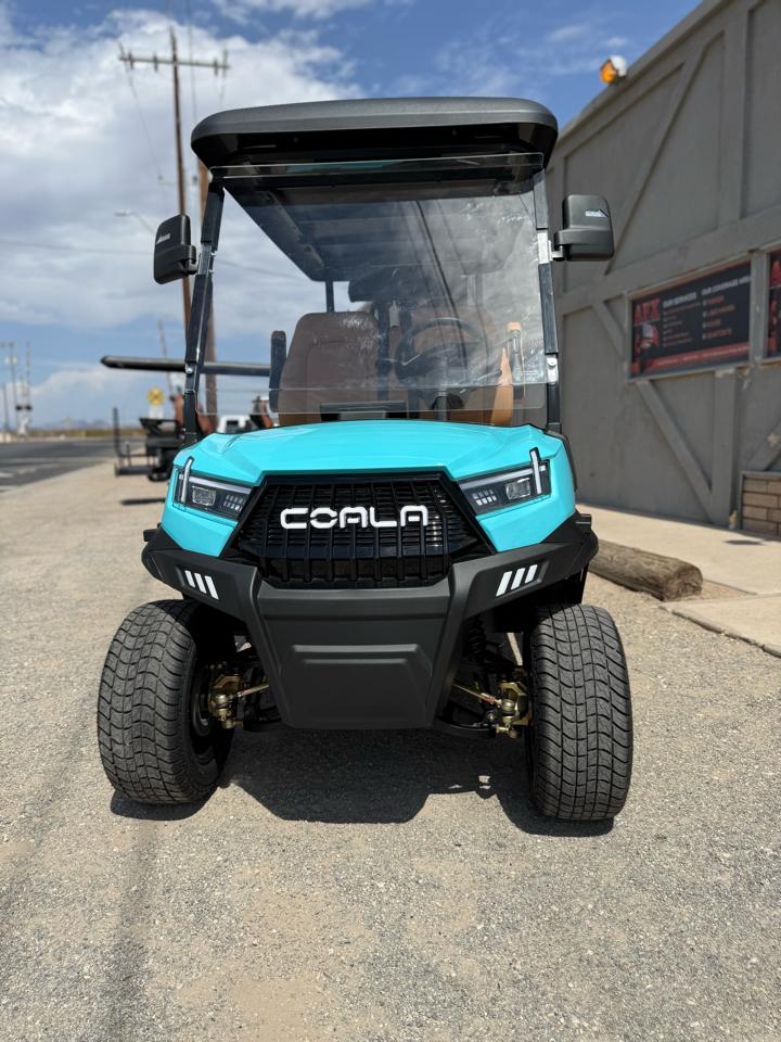 Golf Cart Custom  2026