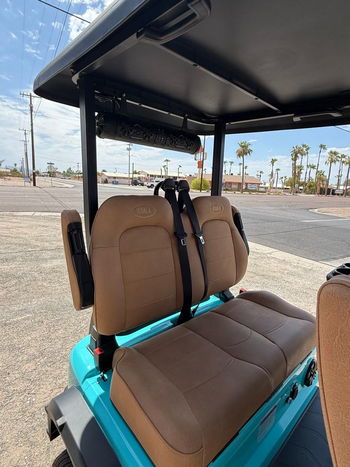 Golf Cart Custom  2026