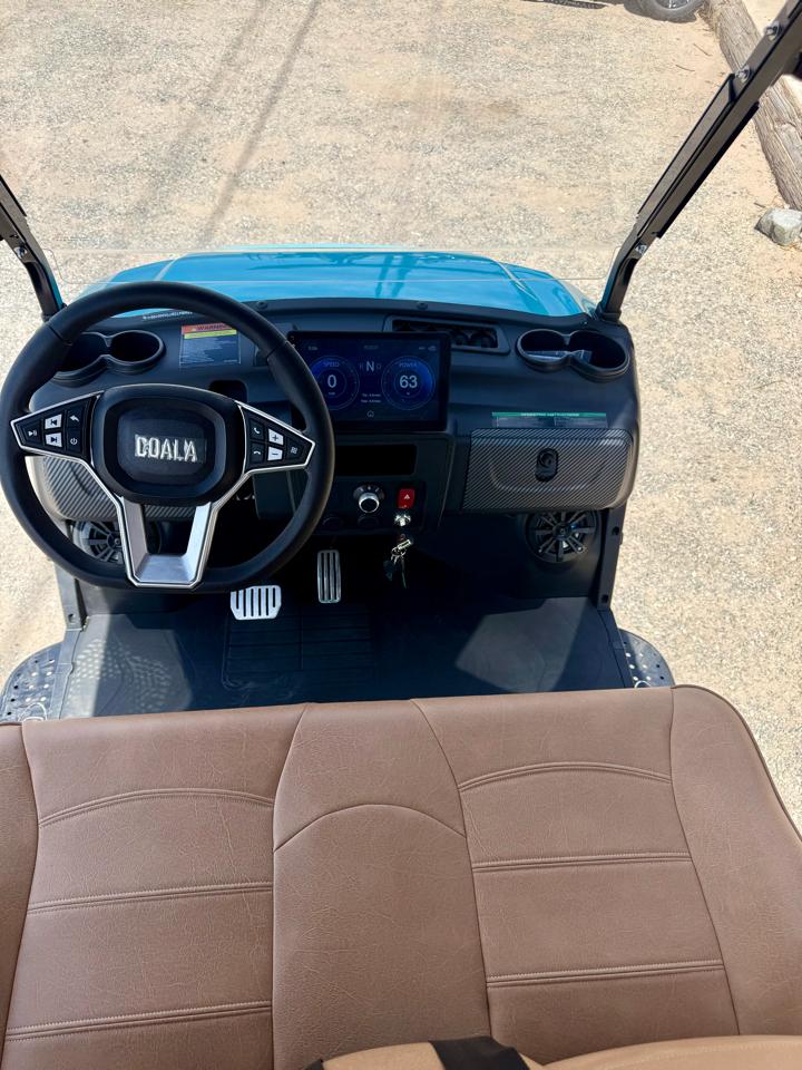 Golf Cart Custom  2026