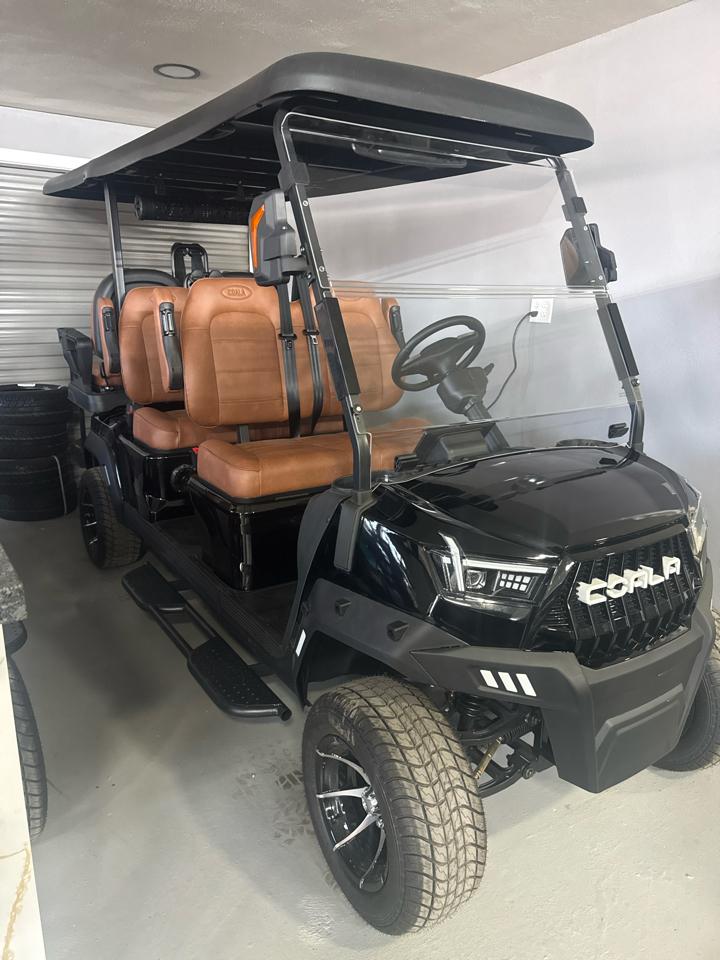 Golf Cart Custom  2026
