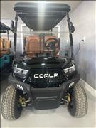 2026 Golf Cart Custom 