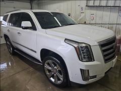 2019 Cadillac Escalade 