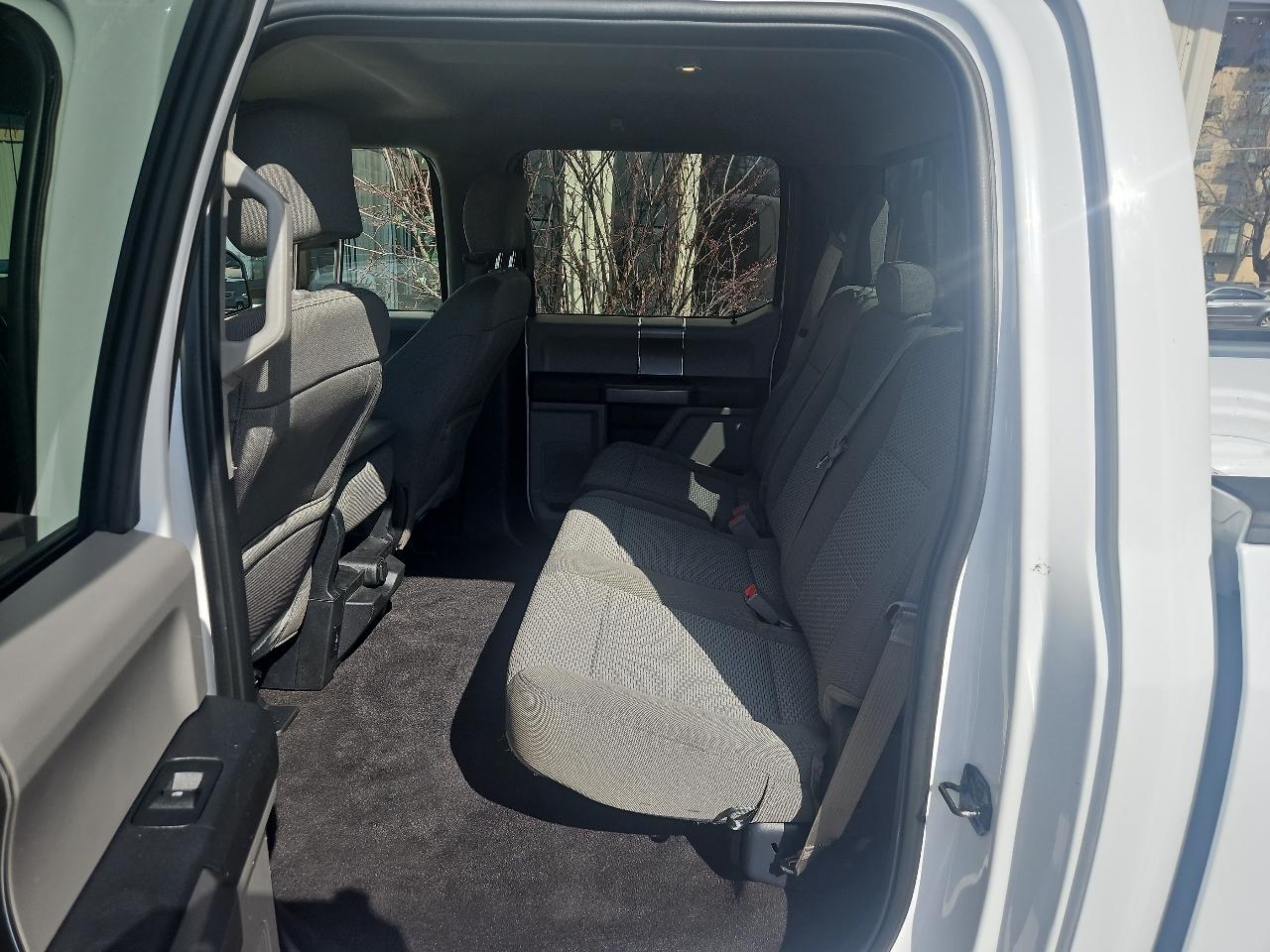Ford F-150 4WD SuperCrew 157" XLT 2019