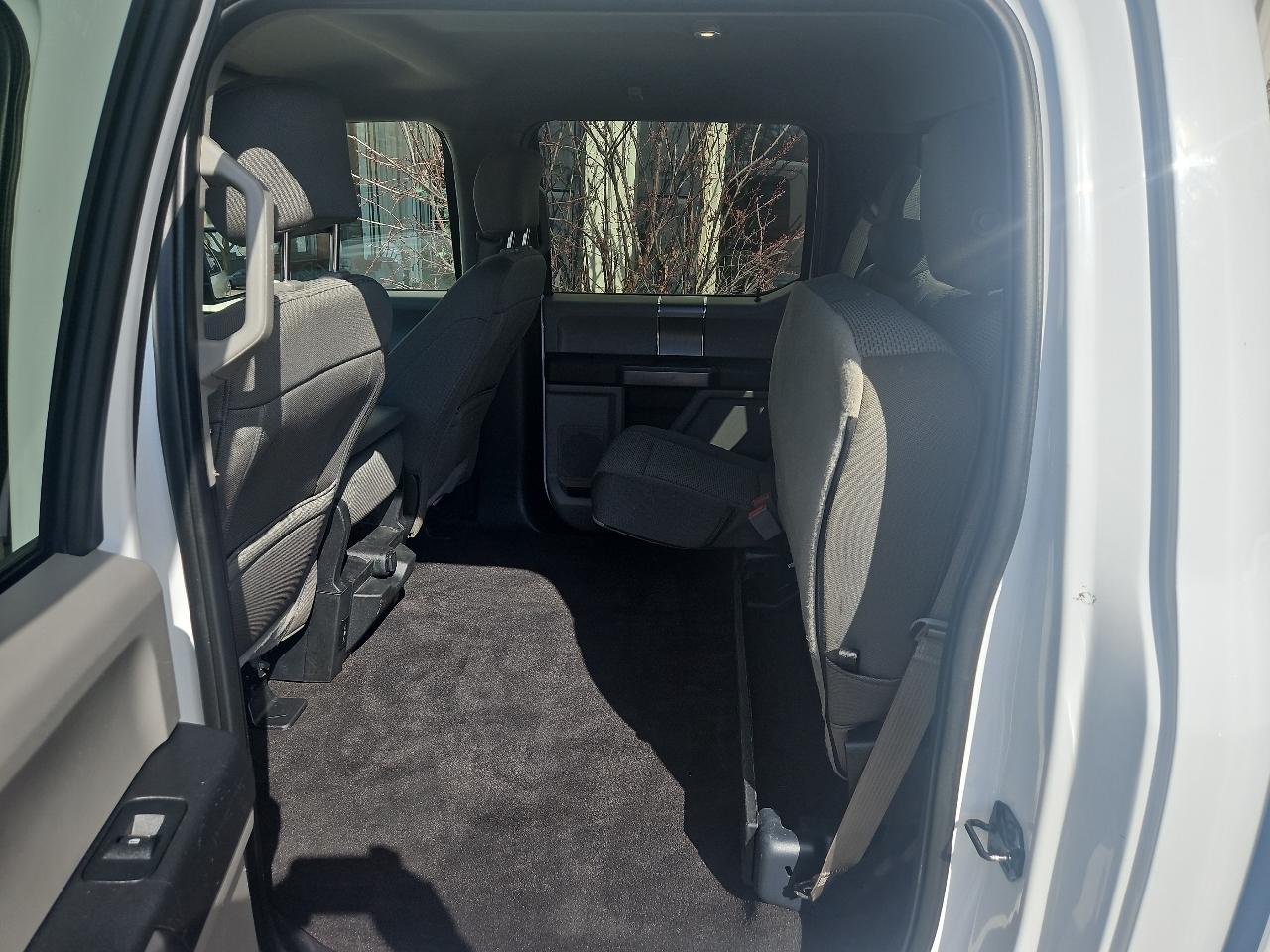 Ford F-150 4WD SuperCrew 157" XLT 2019